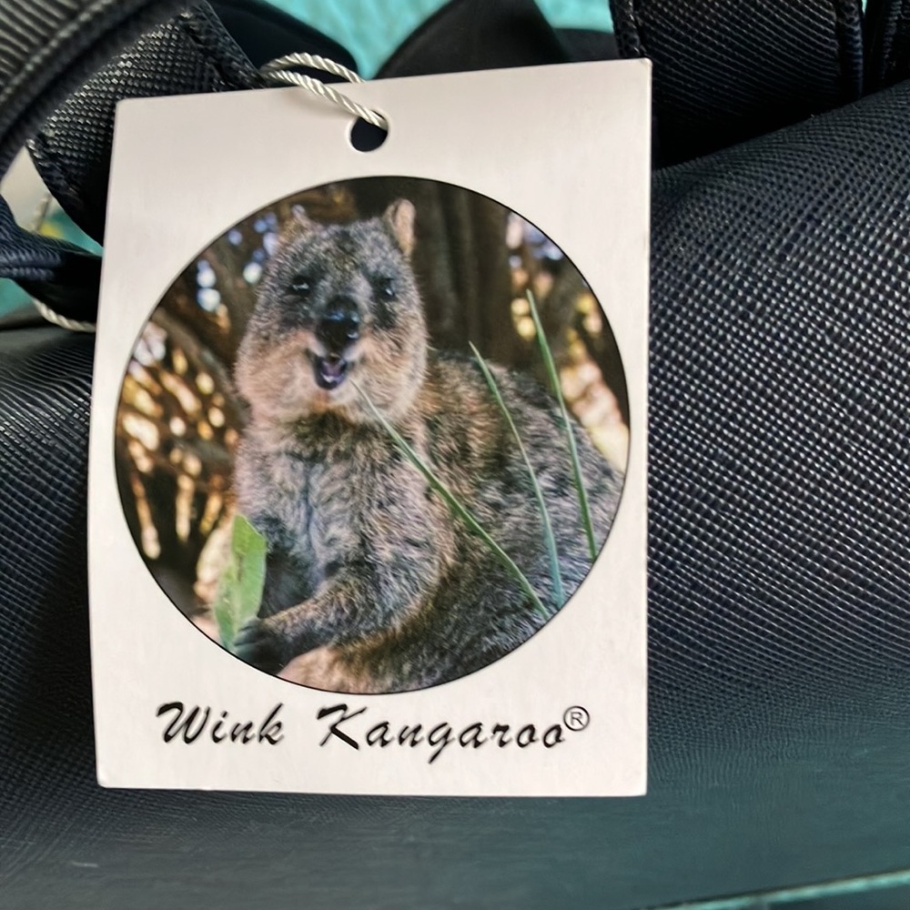Wink Kangaroo 🦘 Backpack - Picture 2 of 11
